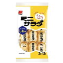 ミニサラダ しお味 24枚入 61g×16個