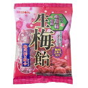 リボン 生梅飴 90g×12×12個