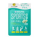 キシリトール スポーツガム ミント 21g×10個