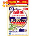 小林製薬のサラシア100 大容量 40日分 120粒×2個