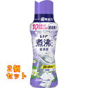レノア 煮沸レベル超消臭 抗菌ビーズ 消臭+洗濯槽の防カビ クリーンフレッシュの香り 本体 420mL×2個