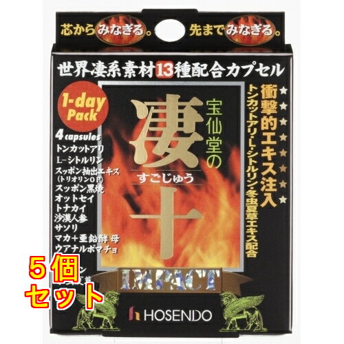 ����IMPACT��5��