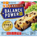 函入 バランスパワー ビッグ 果実たっぷり 2袋×8個