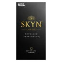 不二ラテックス SKYN ラージ 10個入り 4902510180097