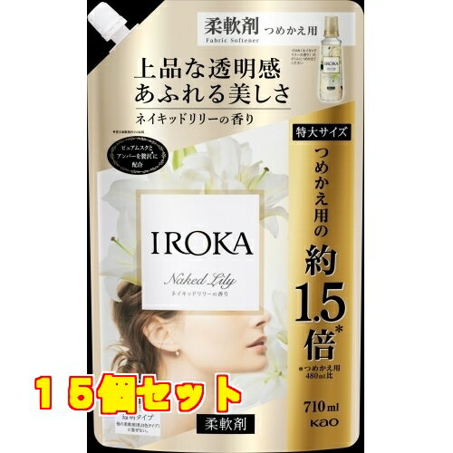 花王　フレアF　IROKA　Naked　スパウト×15個710ml