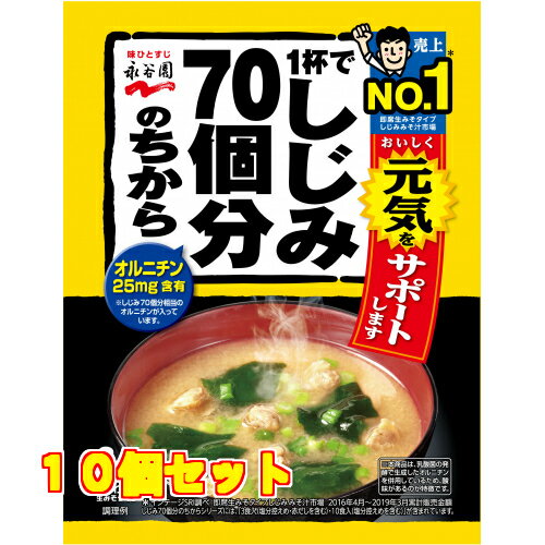 永谷園　1杯でしじみ70個分のちから　みそ汁　袋58．8g×10個