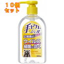 手ピカジェルプラス　 300ml×10個