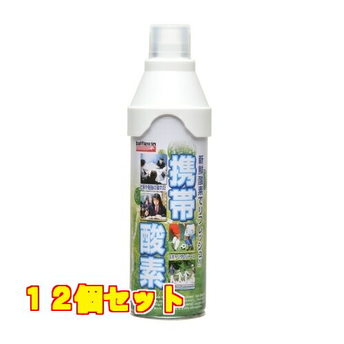 ニチバン バトルウィン携帯酸素 5L×12個