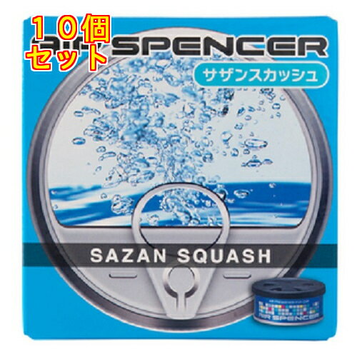 エアースペンサー　カートリッジ　サザンスカッシュ×10個40g