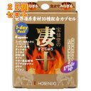 凄十 4粒×20個