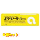 【第(2)類医薬品】 ボラギノールA軟膏 20g×5個