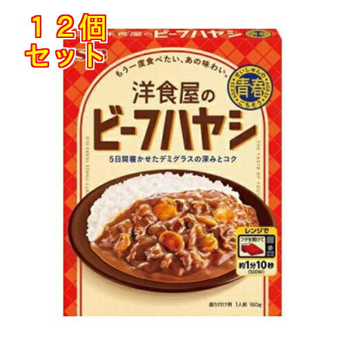 青春のごちそう 洋食屋のビーフハヤシ 160g×12個