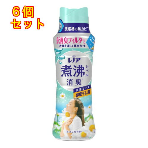 P&G レノア 煮沸レベル消臭抗菌ビーズ 部屋干し 花とおひさまの香りの香り 本体420mL×6個