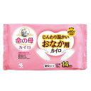 命の母カイロ じんわり温かいおなか用カイロ 10個入