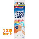 アルガード 鼻すっきり洗浄液 100mL×12個