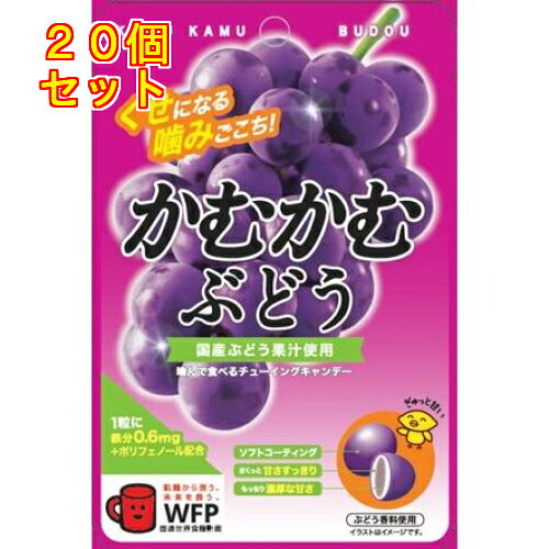 かむかむぶどう 30g×20個