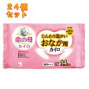 命の母カイロ じんわり温かいおなか用カイロ 10個入×24個