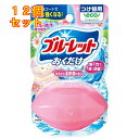 小林製薬 液体ブルーレットおくだけ つけ替用 洗いたてほのかな柔軟剤の香り 70mL×12個