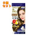 サロンドプロ　ザ・クリームヘアカラー（白髪用）3C＜キャラメルブラウン＞×6個1剤50g・2剤50g