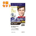 サロンドプロ 無香料ヘアカラー メンズスピーディ(白髪用)6 自然な黒褐色×6個1剤40g・2剤40g