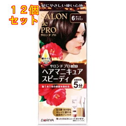 サロンドプロヘアマニキュア・スピーディ　6×12個