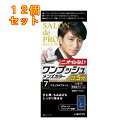 サロンドプロ ワンプッシュメンズカラー(白髪用)7 ナチュラルブラック×12個1剤50g・2剤50g・ボリュームシャンプー10mL