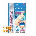 白十字 FC モイストシート 4枚入×10個