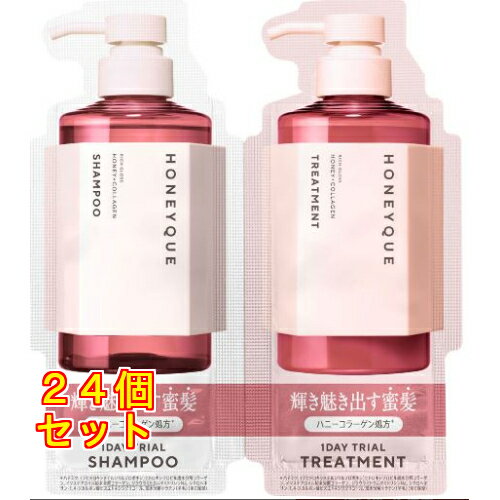 ハニーク リッチグロス 1DAYトライアル 10ml+10ml×24個