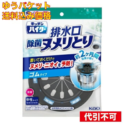 【ゆうパケット送料込み】キッチンハイター除菌ヌメリとり　本体ゴム