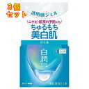 肌ラボ 白潤 薬用美白ジェル 100g×3個(4)