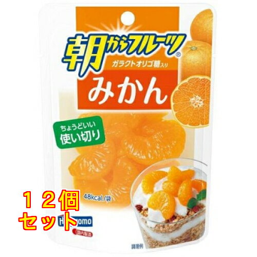 はごろも 朝からフルーツ みかん パウチ 95g×12個