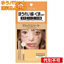 【ゆうパケット送料込み】カリプソ マジックコンシーラー サーモンベージュ 6g
