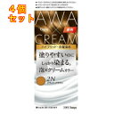 ホーユー ビゲン 泡クリームカラー 2N ブライトブラウン×4個