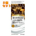 ホーユー ビゲン 泡クリームカラー 3B キャメルブラウン×2個