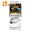 ホーユー ビゲン 泡クリームカラー 5A ダークアッシュ×4個