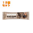 大塚製薬 SOYJOY(ソイジョイ) 黒ゴマ 30g×12個