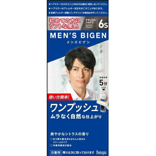 ホーユー メンズビゲン ワンプッシュ 6S