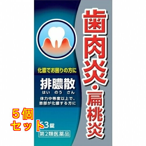 【第2類医薬品】排膿散エキス錠J 63�