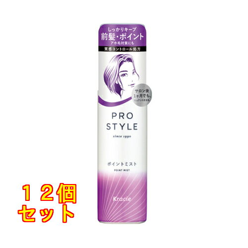 プロスタイル　ポイントミスト×12個
