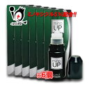 【第1類医薬品】ミノアップ 60ml × 6個セット【東和薬品】ミノキシジル5％配合 ミノグロウ リザレックも販売中 発毛剤 増毛 発毛促進 抜け毛予防 AGA 髪質 頭皮ケア 塗り薬 増やす 生える 効く おすすめ まとめ買い