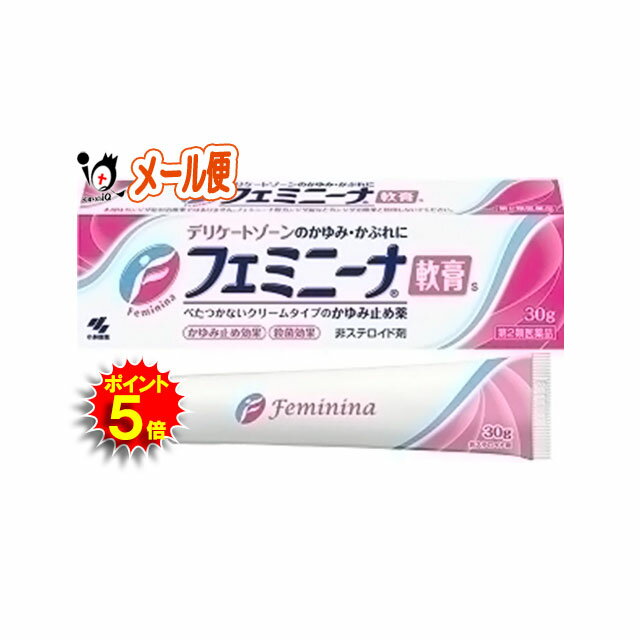 【第2類医薬品】★フェミニーナ 軟膏S 30g【小林製薬】鎮痒消炎薬 デリケートゾーンのかゆみ・かぶれに