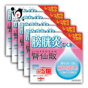 【第2類医薬品】腎仙散 21包 × 5個セット【摩耶堂製薬】膀胱炎 むくみ 菌を洗い流し痛みを抑える 15種類の生薬配合