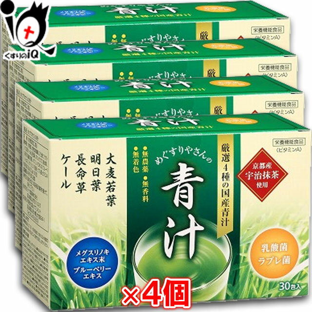 テイカ製薬 めぐすりやさんの青汁 3.0g(1包)×30包×4箱セット【栄養機能食品】【厳選4種の国産青汁】 メグスリノキエキス末・ブルーベリーエキス・京都宇治抹茶使用 大麦若葉・明日葉・長命草・ケール配合【訳あり特別価格】