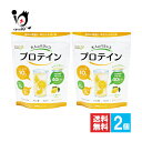 【栄養補助食品】大人のバランスプロテイン 240g×2個セット【すみや】毎日の健康に、飲むたんぱく質 すっきりレモン風味 ホエイプロテイン栄養サポート ビタミン ミネラル 乳酸菌【訳あり特別価格】