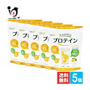 【栄養補助食品】大人のバランスプロテイン 240g×5個セット【すみや】毎日の健康に、飲むたんぱく質 すっきりレモン風味 ホエイプロテイン栄養サポート ビタミン ミネラル 乳酸菌【訳あり特別価格】