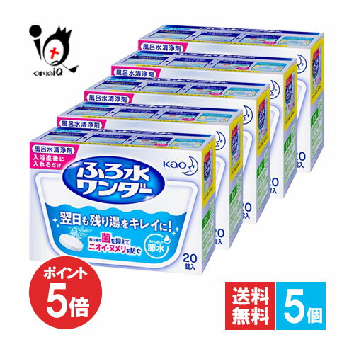 【1日限定ポイント5倍】ふろ水ワンダー 翌日も風呂水キレイ 20錠×5個セット【花王 Kao】風呂水清浄剤 翌日も残り湯をキレイに！残り湯の菌を抑えてニオイ・ヌメリを防ぐ