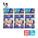 おやすみ安眠テープ 40枚入×3個セット【奥田薬品】レギュラータイプ 就寝時に貼るだけ簡単!!鼻呼吸を快適サポート 鼻呼吸テープ いびき防止テープ 鼻孔テープ 鼻呼吸サポート 口閉じテープ 4971159022334