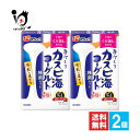 フジッコ カスピ海ヨーグルト種菌セット 2包入×2個セット【フジッコ】1包でくり返し作れる 牛乳に混ぜる 手作りカスピ海ヨーグルト 手作りヨーグルト 種菌 ヨーグルト種菌 たねきん