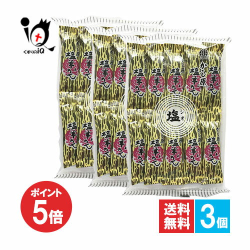 【1日限定ポイント5倍】かし原 塩羊かん 10本入×3個セット【かし原】塩羊羹 ひと口羊羹 和菓子 お茶菓子 おやつ お菓子 デザート スィーツ 餡子 アウトドア・レジャーなどにも