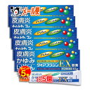 【19日限定ポイント5倍】【指定第2類医薬品】★ダイアフラジンEX軟膏 10g×5個セット 【富山めぐみ製薬】